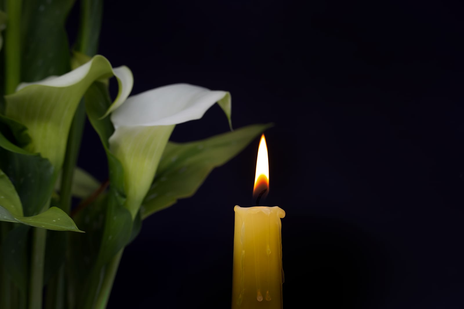 Why do scented candles improve mood? - Soothing Ways